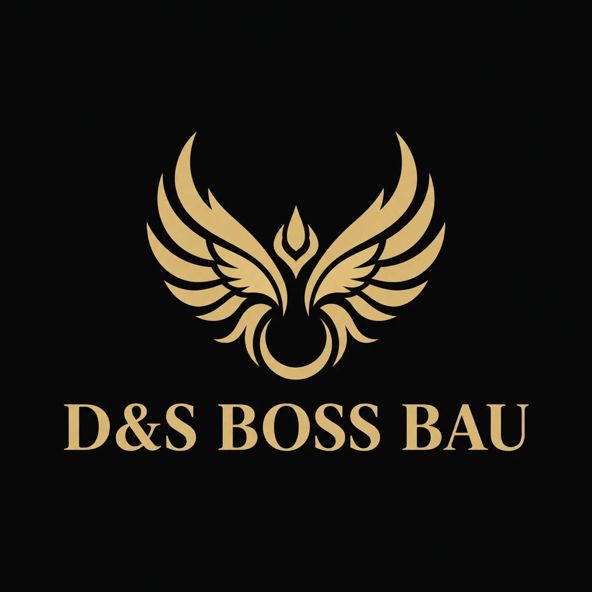 Kompaktné logo D&S BOSS BAU
